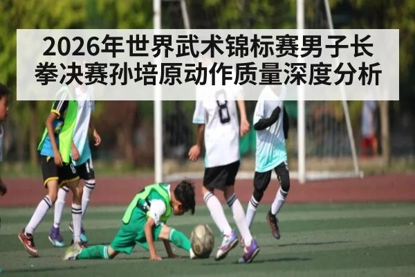 2026年世界武术锦标赛男子长拳决赛孙培原动作质量深度分析 | kaiyun