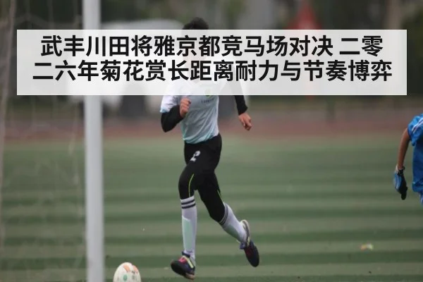 武丰川田将雅京都竞马场对决 二零二六年菊花赏长距离耐力与节奏博弈 - kaiyun
